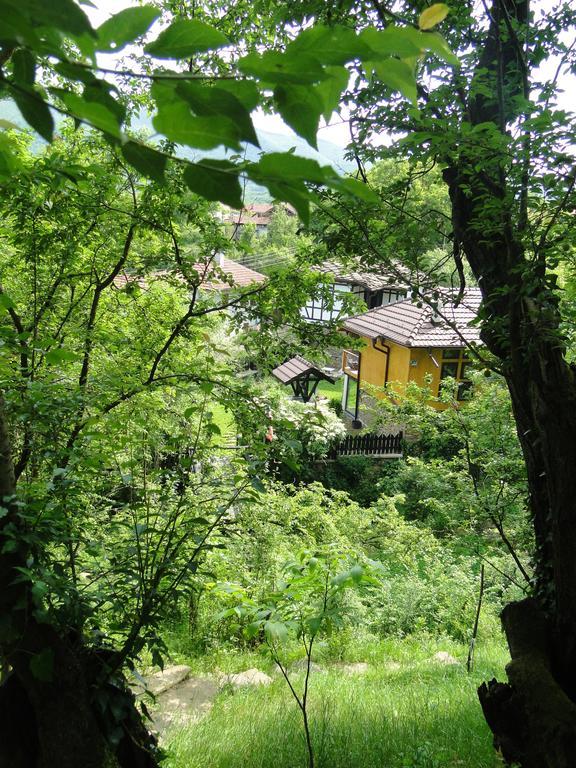 Countryside Houses Golets Hotel Exterior photo